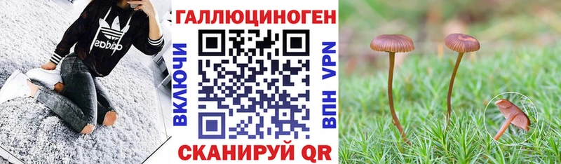 где можно купить   Южно-Сахалинск  kraken ТОР  Псилоцибиновые грибы GOLDEN TEACHER 