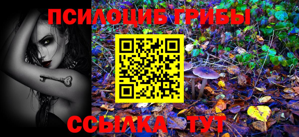 Псилоцибиновые грибы Psilocybine cubensis Южно-Сахалинск